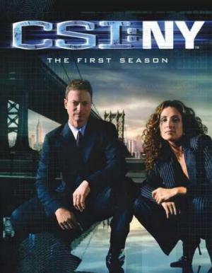 犯罪现场调查之纽约篇第一至九季/CSI New York 犯罪现场调查之纽约篇第一至九季/CSI New York