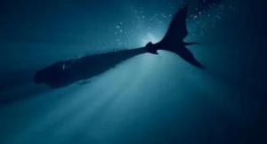 顶级掠食者诡媚海妖第三季 顶级掠食者诡媚海妖第三季