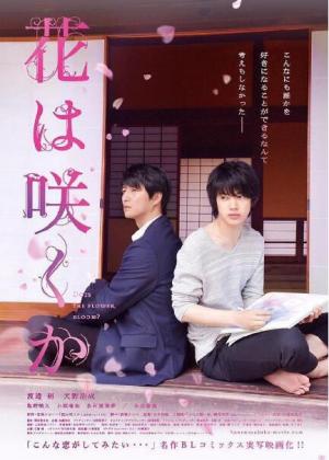 2018年日本同性电影《不知花开否》720P日语中字百度云盘 2018年日本同性电影《不知花开否》720P日语中字百度云盘