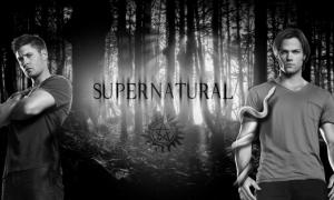 邪恶力量第八至十一季 Supernatural 全集迅雷下载 邪恶力量第八至十一季 Supernatural 全集迅雷下载